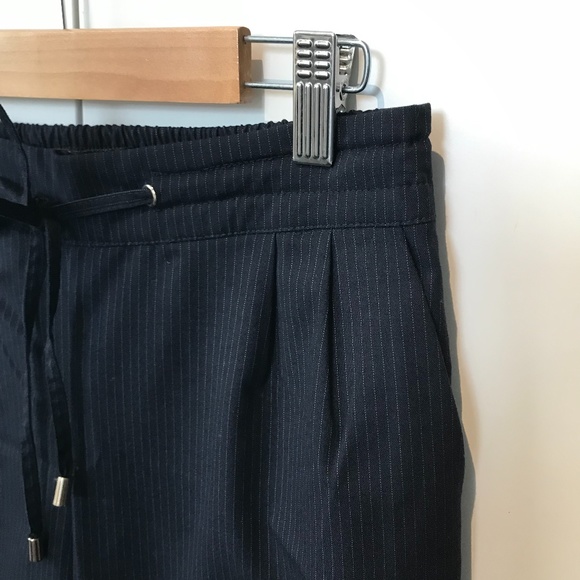 Zara Dark Navy Pinstripe Pants - Picture 3 of 7